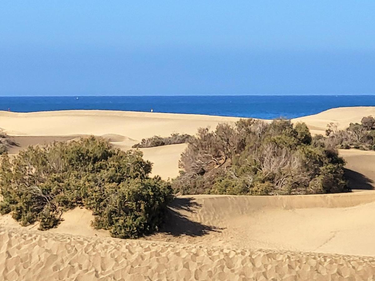 Taidia Tropical Apartment Maspalomas  Ngoại thất bức ảnh