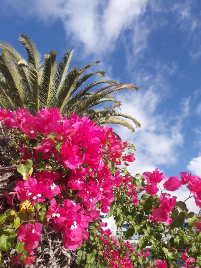 Taidia Tropical Apartment Maspalomas  Ngoại thất bức ảnh